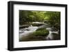 Cascading Creek, Great Smoky Mountains National Park, Tennessee, USA-null-Framed Photographic Print