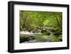 Cascading Creek, Great Smoky Mountains National Park, Tennessee, USA-null-Framed Photographic Print