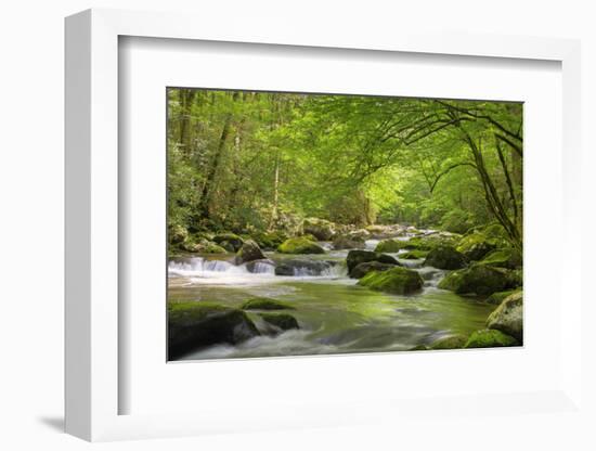 Cascading Creek, Great Smoky Mountains National Park, Tennessee, USA-null-Framed Premium Photographic Print