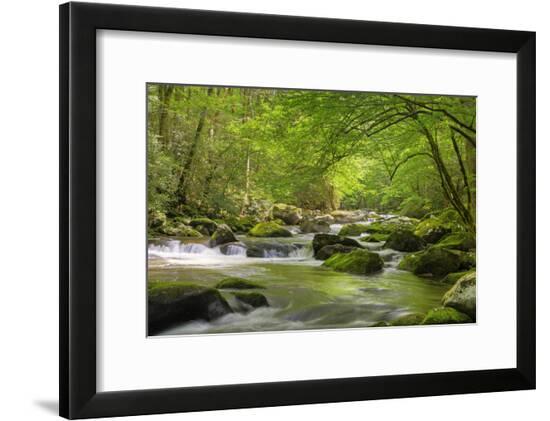 Framed Photographic Print, , large
