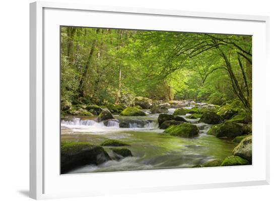 Framed Photographic Print, , large