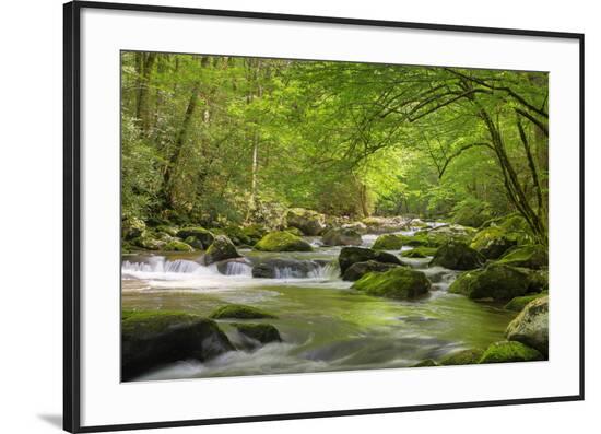 Framed Photographic Print, , large