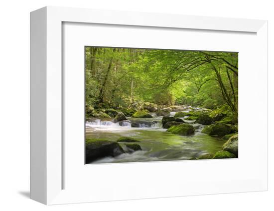Framed Photographic Print, , large