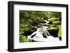 Cascading Creek in the Park, Great Smoky Mountains National Park, Tennessee, USA-null-Framed Photographic Print