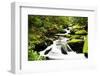 Cascading Creek in the Park, Great Smoky Mountains National Park, Tennessee, USA-null-Framed Photographic Print