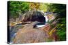 Cascading Creek of the Basin, Franconia Notch, NH-George Oze-Stretched Canvas