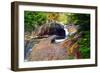 Cascading Creek of the Basin, Franconia Notch, NH-George Oze-Framed Photographic Print