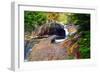 Cascading Creek of the Basin, Franconia Notch, NH-George Oze-Framed Photographic Print