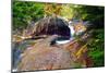 Cascading Creek of the Basin, Franconia Notch, NH-George Oze-Mounted Photographic Print