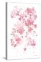 Cascading Petals I Pink-Danhui Nai-Stretched Canvas