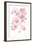 Cascading Petals I Pink-Danhui Nai-Framed Art Print