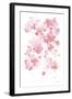 Cascading Petals I Pink-Danhui Nai-Framed Art Print