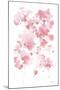 Cascading Petals I Pink-Danhui Nai-Mounted Art Print