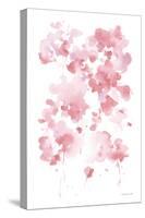 Cascading Petals I Pink-Danhui Nai-Stretched Canvas