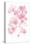 Cascading Petals I Pink-Danhui Nai-Stretched Canvas