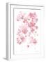 Cascading Petals I Pink-Danhui Nai-Framed Art Print