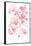 Cascading Petals I Pink-Danhui Nai-Framed Stretched Canvas
