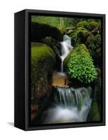 Cascading Stream in Great Smoky Mountains-Ron Watts-Framed Stretched Canvas