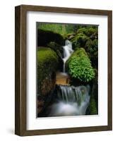 Cascading Stream in Great Smoky Mountains-Ron Watts-Framed Photographic Print