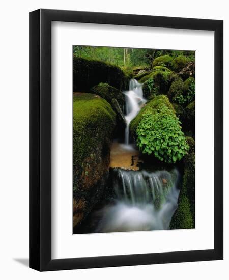 Cascading Stream in Great Smoky Mountains-Ron Watts-Framed Photographic Print