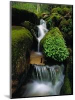 Cascading Stream in Great Smoky Mountains-Ron Watts-Mounted Photographic Print