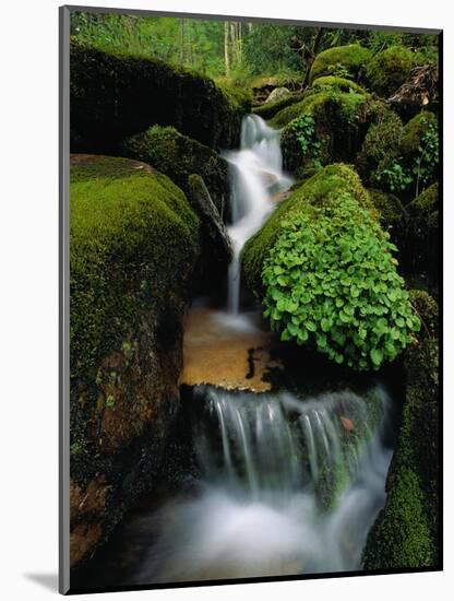 Cascading Stream in Great Smoky Mountains-Ron Watts-Mounted Photographic Print