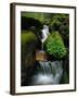 Cascading Stream in Great Smoky Mountains-Ron Watts-Framed Photographic Print