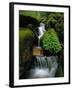 Cascading Stream in Great Smoky Mountains-Ron Watts-Framed Photographic Print