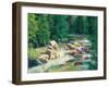 Cascading Stream-Carol Bailey-Framed Art Print