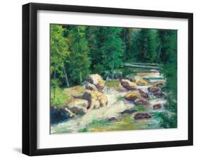 Cascading Stream-Carol Bailey-Framed Art Print