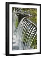 Cascading water, Fern Spring, Yosemite National Park, California-Adam Jones-Framed Photographic Print