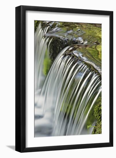 Cascading water, Fern Spring, Yosemite National Park, California-Adam Jones-Framed Photographic Print