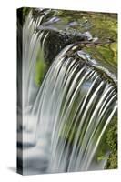 Cascading water, Fern Spring, Yosemite National Park, California-Adam Jones-Stretched Canvas