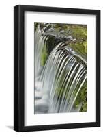 Cascading water, Fern Spring, Yosemite National Park, California-Adam Jones-Framed Photographic Print