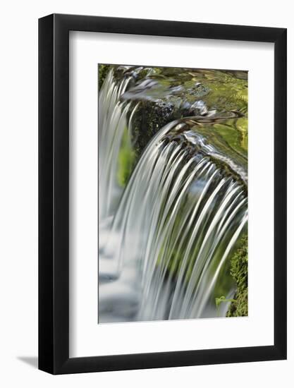 Cascading water, Fern Spring, Yosemite National Park, California-Adam Jones-Framed Photographic Print