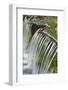 Cascading water, Fern Spring, Yosemite National Park, California-Adam Jones-Framed Photographic Print