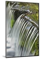 Cascading water, Fern Spring, Yosemite National Park, California-Adam Jones-Mounted Photographic Print