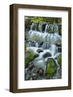 Cascading water, Fern Spring, Yosemite National Park, California-Adam Jones-Framed Photographic Print