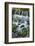 Cascading water, Fern Spring, Yosemite National Park, California-Adam Jones-Framed Photographic Print