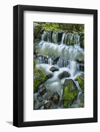 Cascading water, Fern Spring, Yosemite National Park, California-Adam Jones-Framed Photographic Print