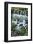 Cascading water, Fern Spring, Yosemite National Park, California-Adam Jones-Framed Photographic Print