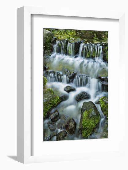 Cascading water, Fern Spring, Yosemite National Park, California-Adam Jones-Framed Photographic Print