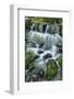 Cascading water, Fern Spring, Yosemite National Park, California-Adam Jones-Framed Photographic Print