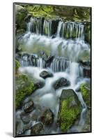 Cascading water, Fern Spring, Yosemite National Park, California-Adam Jones-Mounted Photographic Print