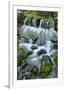 Cascading water, Fern Spring, Yosemite National Park, California-Adam Jones-Framed Photographic Print