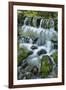 Cascading water, Fern Spring, Yosemite National Park, California-Adam Jones-Framed Photographic Print