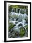 Cascading water, Fern Spring, Yosemite National Park, California-Adam Jones-Framed Photographic Print