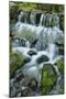 Cascading water, Fern Spring, Yosemite National Park, California-Adam Jones-Mounted Photographic Print