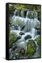 Cascading water, Fern Spring, Yosemite National Park, California-Adam Jones-Framed Stretched Canvas