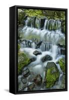 Cascading water, Fern Spring, Yosemite National Park, California-Adam Jones-Framed Stretched Canvas